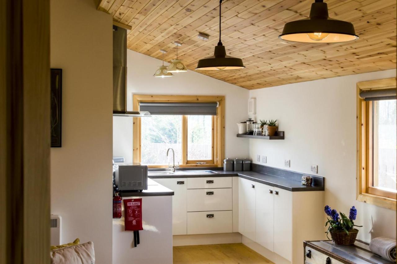 Fern Lodge - 2 Bedroom Log Cabin - Saint Florence - Tenby Exterior foto